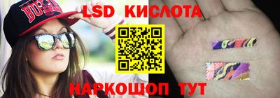 СК Кингисепп