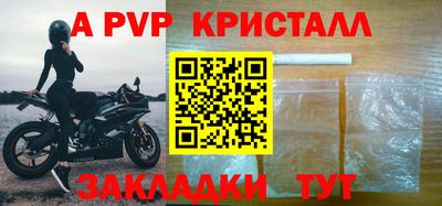 СК Кингисепп