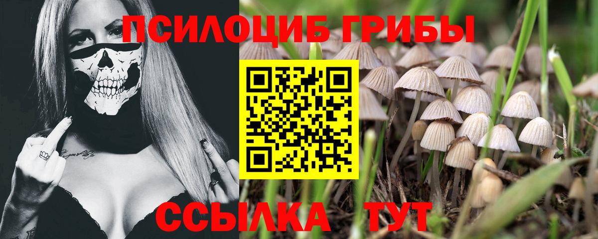 Галлюциногенные грибы GOLDEN TEACHER  дарнет шоп  Волоколамск  Псилоцибиновые грибы прущие грибы  Вход с VPN 